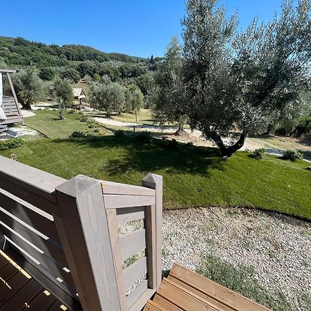 Podere Cortesi Agriturismo Molinaccio Санта Луче Екстериор снимка
