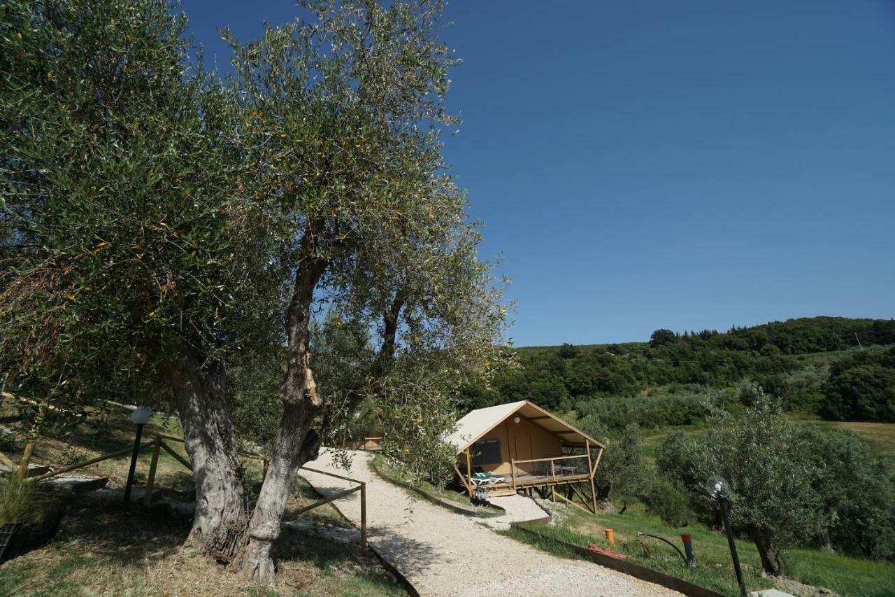 Podere Cortesi Agriturismo Molinaccio Санта Луче Екстериор снимка